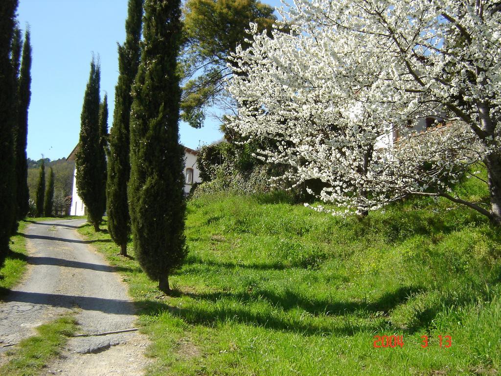 Podere"Sulle Soglie Del Bosco" Appartament And Rooms Pescia Luaran gambar