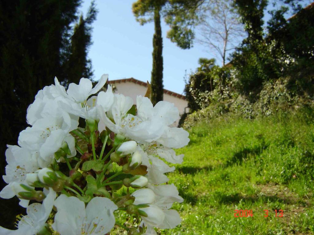 Podere"Sulle Soglie Del Bosco" Appartament And Rooms Pescia Luaran gambar