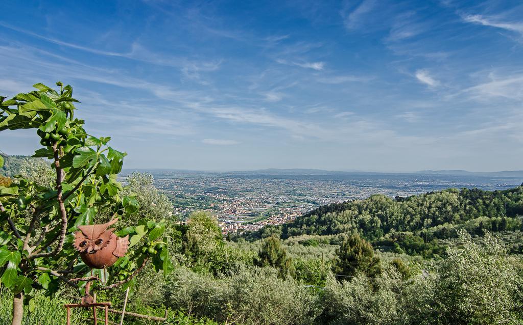 Podere"Sulle Soglie Del Bosco" Appartament And Rooms Pescia Luaran gambar