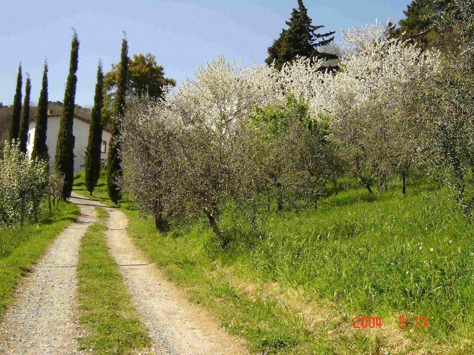 Podere"Sulle Soglie Del Bosco" Appartament And Rooms Pescia Luaran gambar